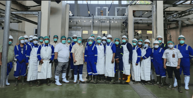 Premium Beef Processing